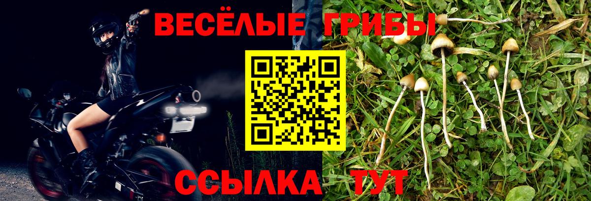 Галлюциногенные грибы мухоморы  где купить   Вход с VPN  Удомля  Псилоцибиновые грибы MAGIC MUSHROOMS 